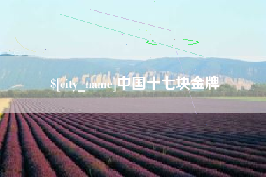 郑州中国十七块金牌