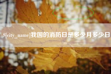 郑州我国的消防日是多少月多少日