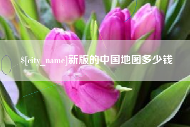 郑州新版的中国地图多少钱