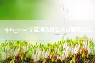 郑州宁夏消防报名入口官网公告