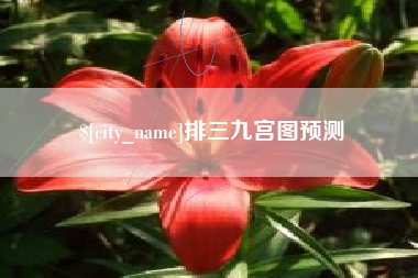 郑州排三九宫图预测