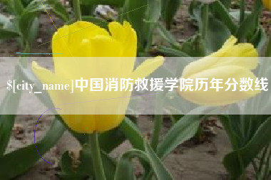 郑州中国消防救援学院历年分数线