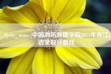郑州中国消防救援学院2021年浙江省录取分数线