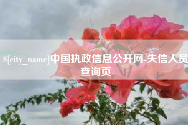 郑州中国执政信息公开网-失信人员查询页