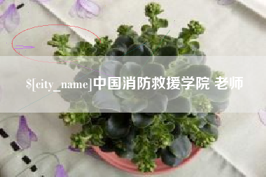 郑州中国消防救援学院 老师