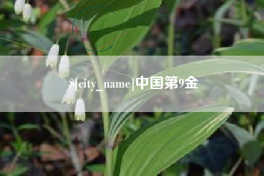郑州中国第9金