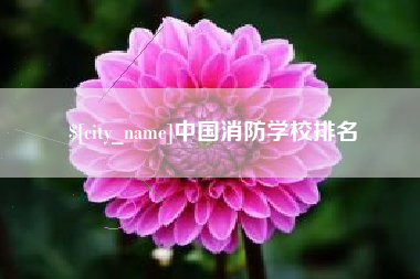 郑州中国消防学校排名
