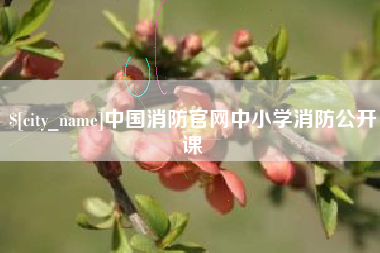 郑州中国消防官网中小学消防公开课
