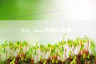 郑州中国几金牌了