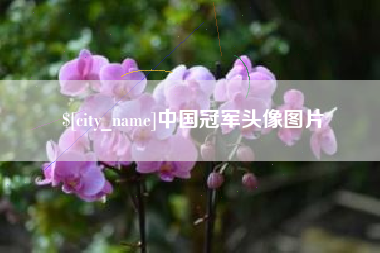 郑州中国冠军头像图片