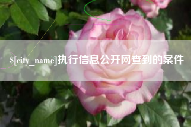 郑州执行信息公开网查到的案件