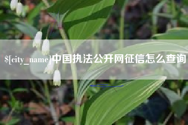 郑州中国执法公开网征信怎么查询