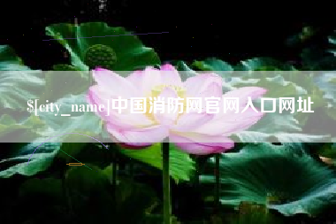 郑州中国消防网官网入口网址