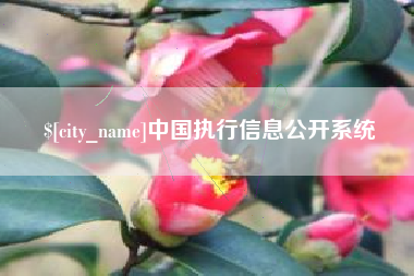 郑州中国执行信息公开系统