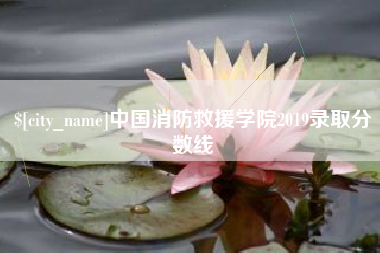 郑州中国消防救援学院2019录取分数线