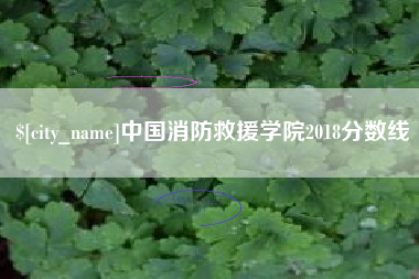 郑州中国消防救援学院2018分数线