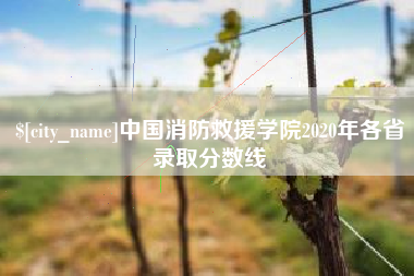 郑州中国消防救援学院2020年各省录取分数线