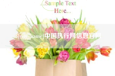 郑州中国执行网信息官网