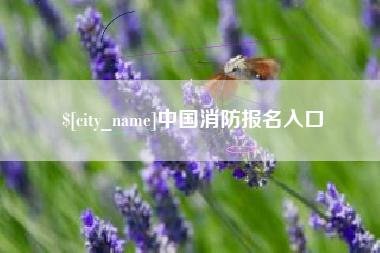 郑州中国消防报名入口