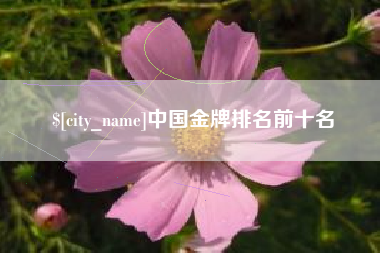 郑州中国金牌排名前十名