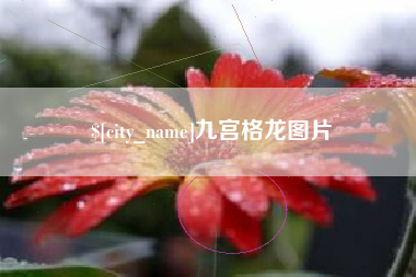 郑州九宫格龙图片