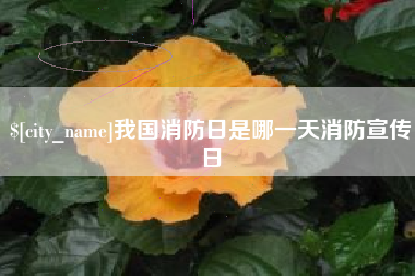 郑州我国消防日是哪一天消防宣传日