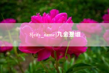 郑州九金是谁