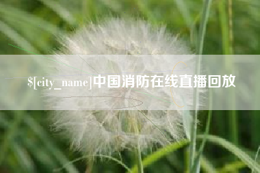 郑州中国消防在线直播回放