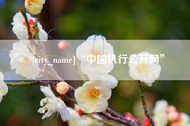 郑州“中国执行公开网”