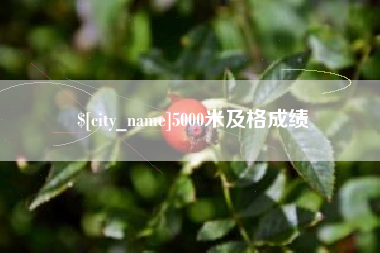 郑州5000米及格成绩