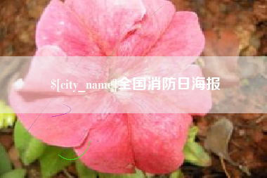 郑州全国消防日海报