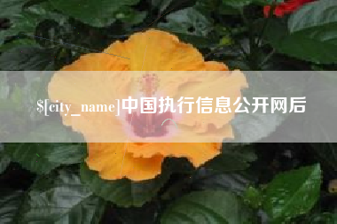 郑州中国执行信息公开网后