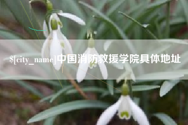郑州中国消防救援学院具体地址