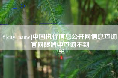 郑州中国执行信息公开网信息查询官网限消中查询不到