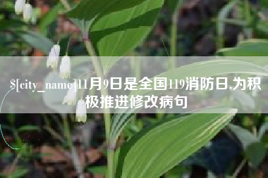 郑州11月9日是全国119消防日,为积极推进修改病句