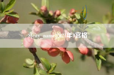郑州2021年9宫格