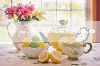 郑州中国消防救援学院分数2020