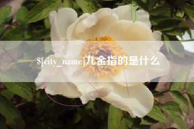 郑州九金指的是什么