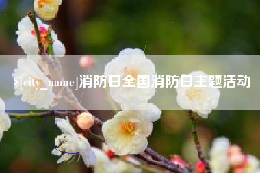 郑州消防日全国消防日主题活动