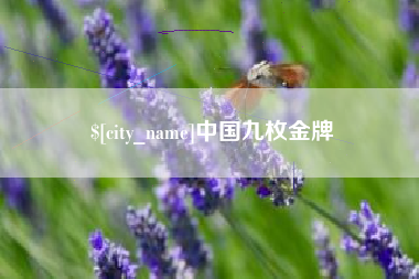 郑州中国九枚金牌