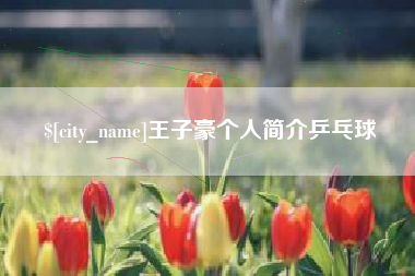 郑州王子豪个人简介乒乓球