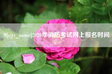 郑州2020年消防考试网上报名时间