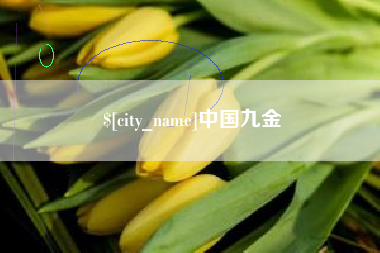 郑州中国九金