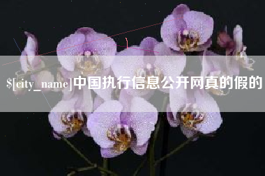 郑州中国执行信息公开网真的假的