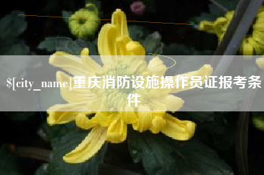 郑州重庆消防设施操作员证报考条件