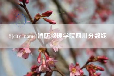 郑州消防救援学院四川分数线