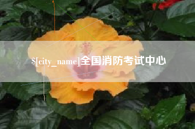 郑州全国消防考试中心