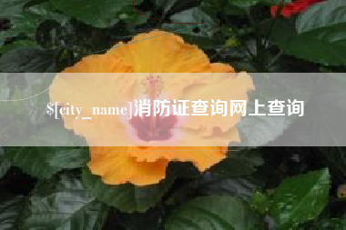 郑州消防证查询网上查询