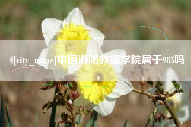 郑州中国消防救援学院属于985吗