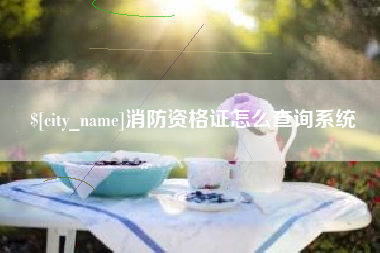 郑州消防资格证怎么查询系统